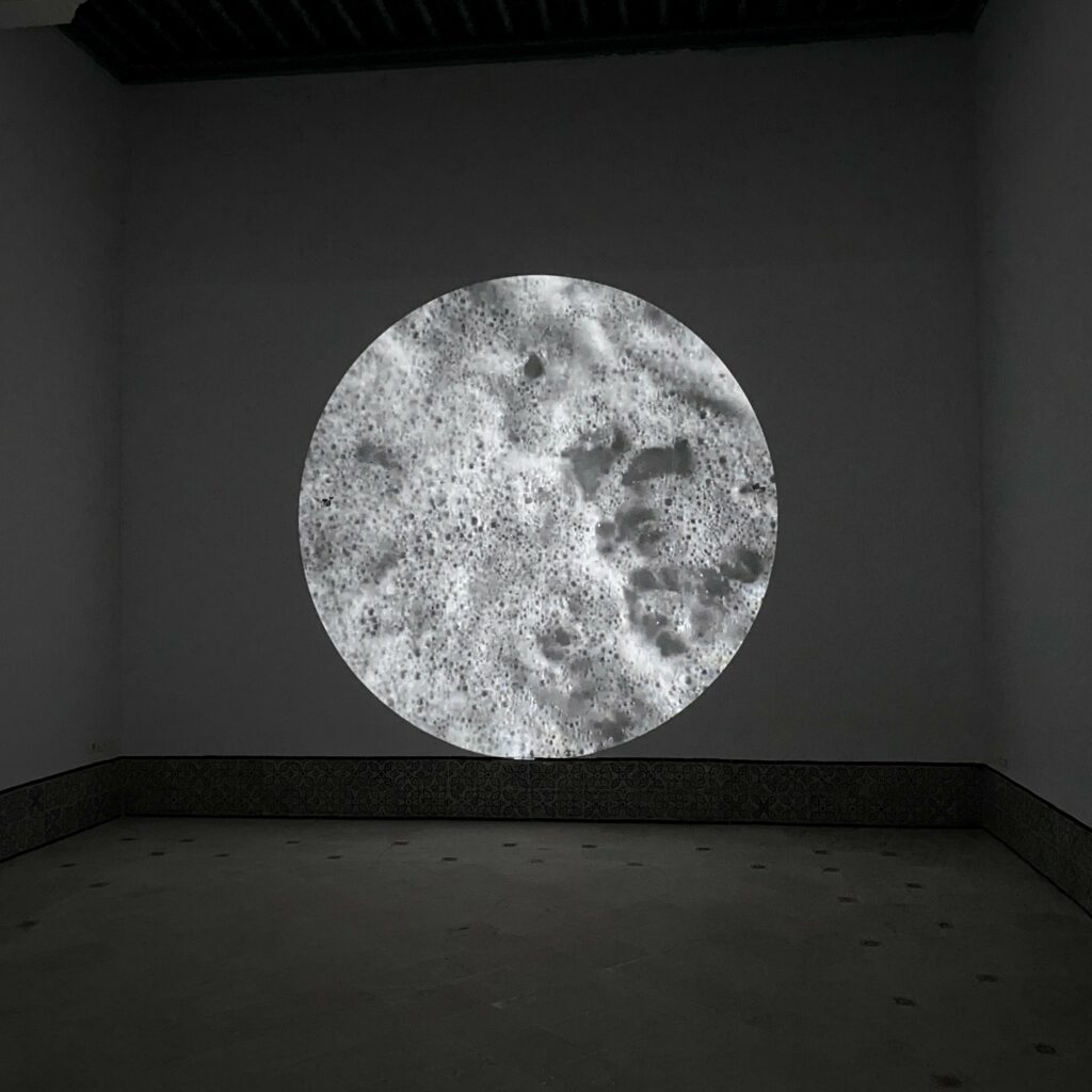 Gudrun Barenbrock